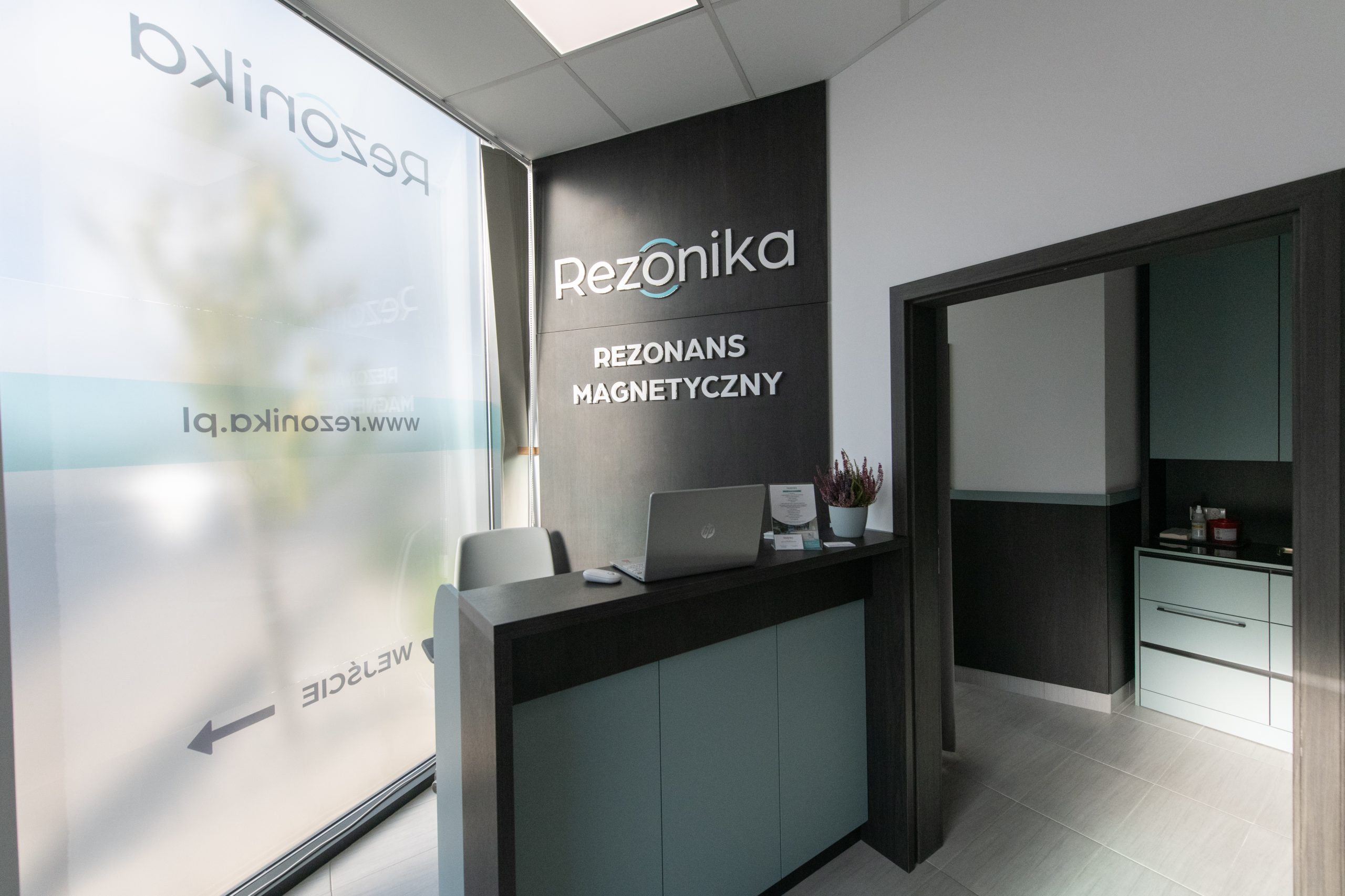 Rezonika - recepcja